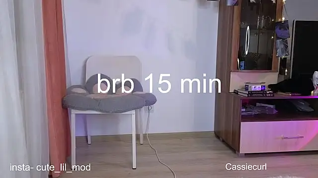 Snapshot of art_phoenix chatting on March 7, 2025, 9:06 pm art phoenix online show from March 7, 2025, 9:06 pm