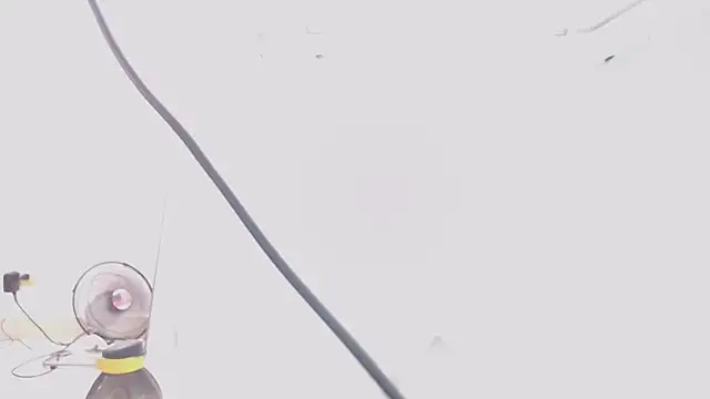 jhon tomson1 online show from February 15, 2025, 7:28 pm