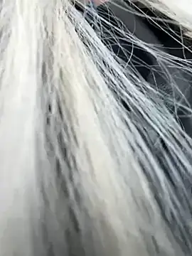 Milkyy wway online show from March 21, 2025, 11:44 am