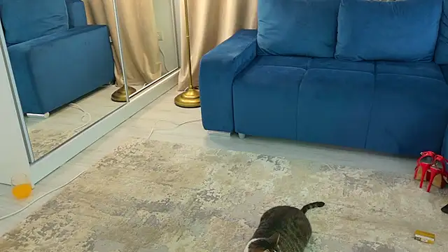 Addictive T online show from February 12, 2025, 4:54 am