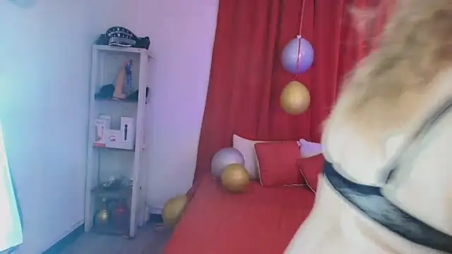 girl amada online show from February 10, 2026, 8:24 pm