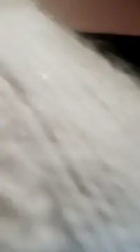 JAWHARA  online show from December 15, 2024, 8:04 pm