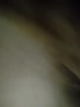 7alawa-44 online show from February 5, 2026, 1:16 pm