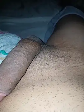 taylorWiiz online show from November 26, 2025, 4:57 am