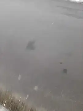 BRUNNA online show from March 20, 2025, 3:34 am