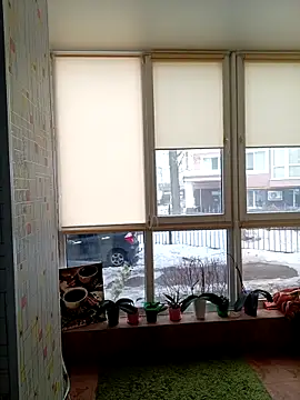 Annet1912 online show from February 25, 2026, 10:03 am