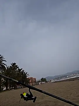 charlye inkkkk online show from March 2, 2026, 2:35 pm