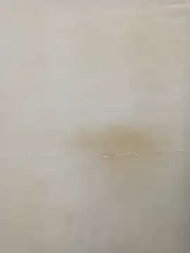 Rina777o online show from March 7, 2025, 6:11 pm