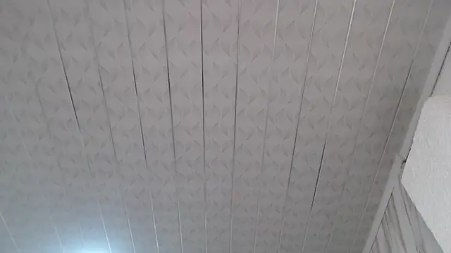 Violeth b online show from February 14, 2025, 12:36 pm