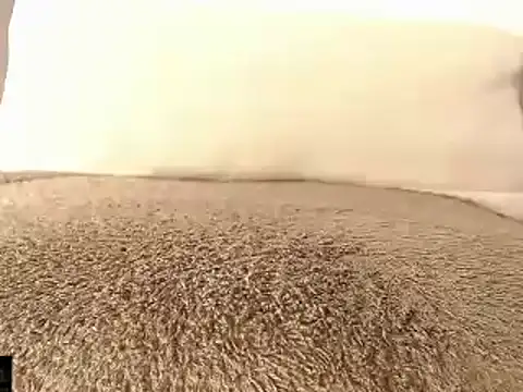 mikellwilliams10 online show from March 15, 2025, 1:29 pm