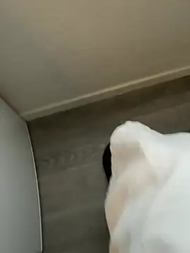 YoungCouple0604 online show from January 18, 2026, 10:08 am