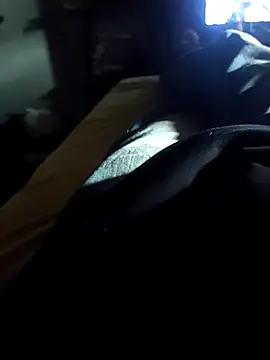 danilogarcia33 online show from April 27, 2026, 4:05 pm