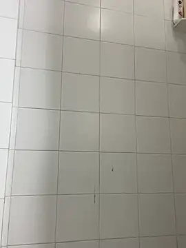 elolotero online show from January 27, 2025, 6:52 am