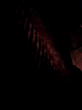 3anntel online show from November 25, 2025, 10:43 pm