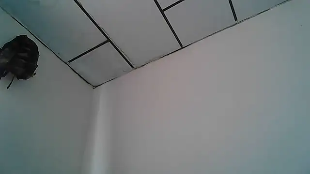 Snapshot of Alphadavid_23 chatting on April 30, 2026, 4:02 pm Alphadavid 23 online show from April 30, 2026, 4:02 pm