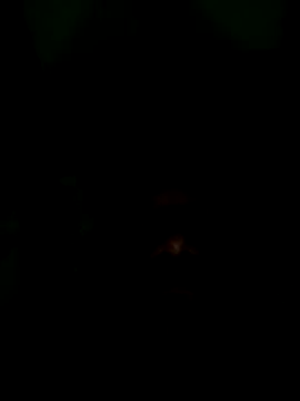 Snapshot of Long_Laster chatting on February 12, 2026, 6:03 pm Long Laster online show from February 12, 2026, 6:03 pm