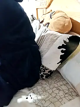 jijijoudia online show from January 18, 2025, 11:43 am