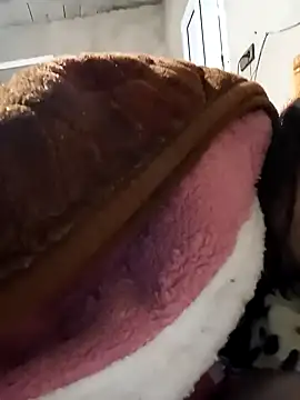 jijijoudia online show from January 25, 2025, 12:37 pm