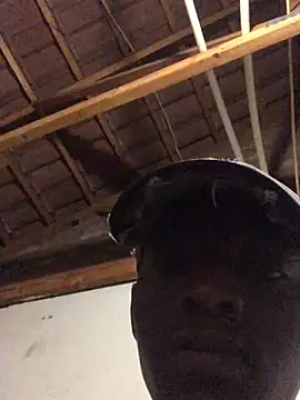 thekidrose online show from December 2, 2025, 5:35 am