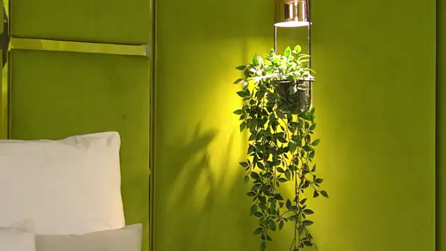 NattyDevon online show from April 8, 2026, 5:29 am