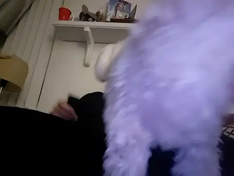 Snapshot of Hand69someguy chatting on January 10, 2026, 6:37 am Hand69someguy online show from January 10, 2026, 6:37 am