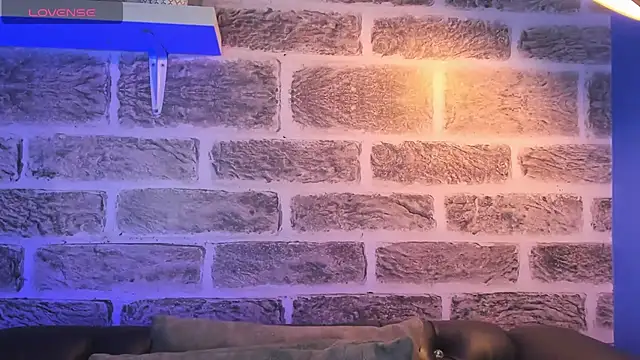 noah ricci online show from October 14, 2025, 12:50 pm