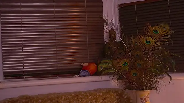 divinelights online show from November 12, 2025, 5:02 pm