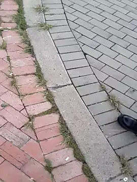 Snapshot of sophie_banger chatting on November 18, 2025, 4:33 pm sophie banger online show from November 18, 2025, 4:33 pm