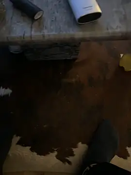 Tyson8897 online show from January 7, 2026, 7:55 am