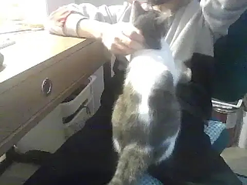 kallaviz online show from January 7, 2026, 7:16 pm