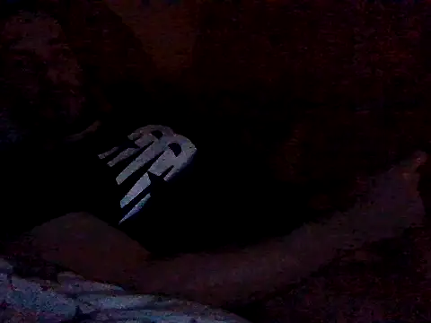 Snapshot of Vicktore007 chatting on October 31, 2025, 5:25 pm Vicktore007 online show from October 31, 2025, 5:25 pm