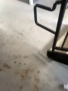 zeekBbc online show from February 26, 2026, 9:25 pm