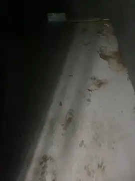 zeekBbc online show from April 5, 2026, 12:41 am