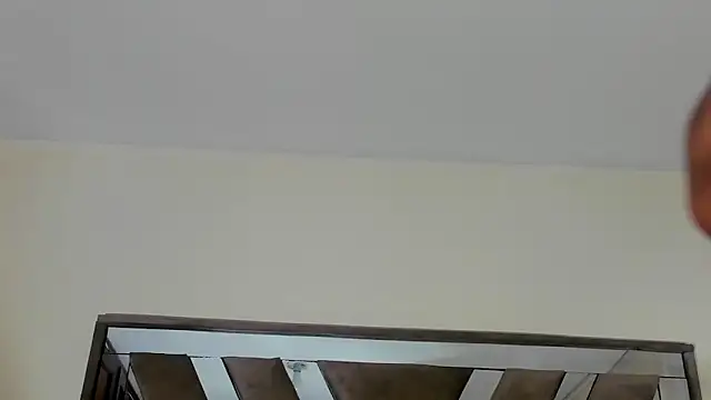 sara williams01 online show from February 8, 2025, 1:11 pm