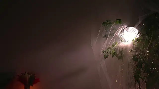 lorrie love story online show from October 7, 2025, 8:55 am