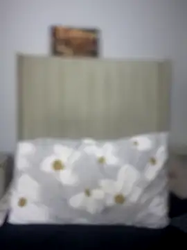 BhadBhad Kitty online show from October 8, 2025, 4:21 am