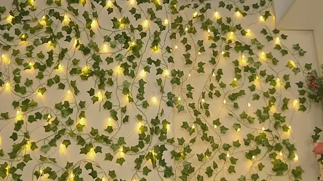 Brenda M00n online show from January 5, 2025, 9:25 pm