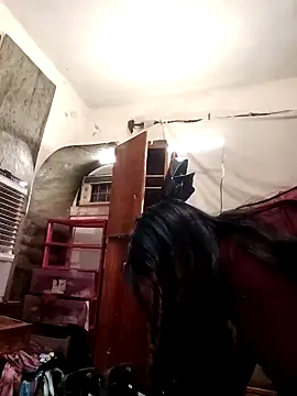 SINUECASTILLO online show from December 12, 2024, 7:41 am