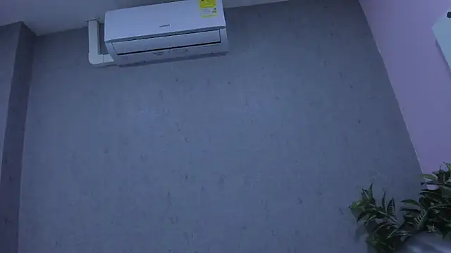 Tiffany mendez online show from December 3, 2025, 12:03 pm