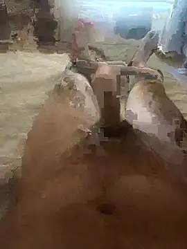zilzop online show from July 22, 2026, 11:24 am