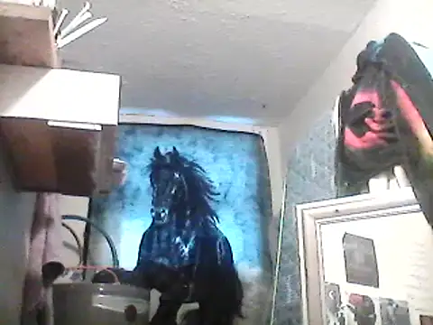 lilbishmiss online show from February 13, 2025, 1:15 pm