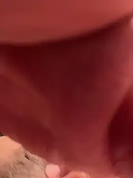 4n4l1zz4m1 online show from January 7, 2025, 7:38 pm