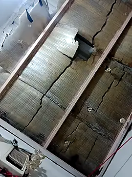 saraieevosarai online show from January 27, 2025, 5:58 am