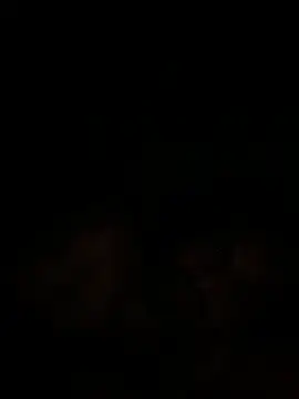 islandvybee55 online show from December 18, 2024, 9:47 am