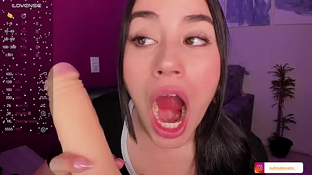  sulmatevans  online show from December 5, 2024, 9:17 am