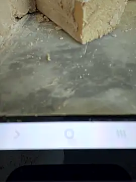 seloloko20 online show from December 1, 2025, 8:08 am