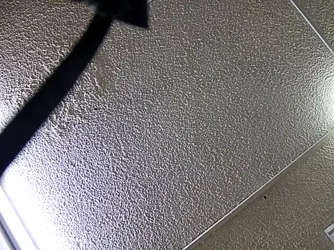 yajahil online show from November 28, 2025, 7:38 pm