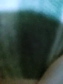 PayalSharmahot143 online show from October 2, 2025, 11:06 am