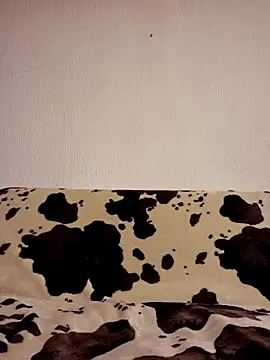 Zgodanilep online show from September 20, 2025, 10:05 am