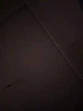 eddy355 online show from October 26, 2025, 9:31 pm